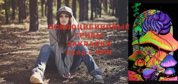 молекула духа Ладушкин