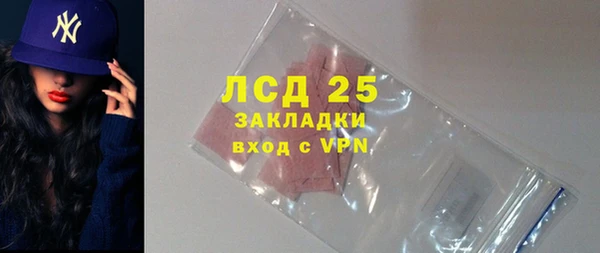 PSILOCYBIN Кукмор