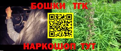 сатива Новодвинск