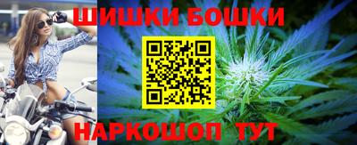 сатива Новодвинск